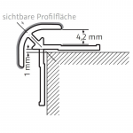 HSK RenoDeco Profil 2.550mm 